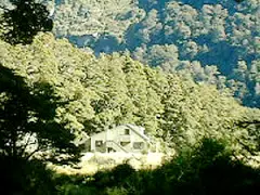 アイリスバーンハット