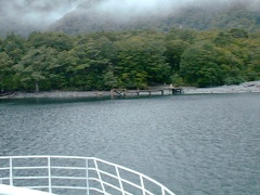 グレイドワーフ