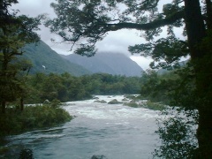 アーサーリバー