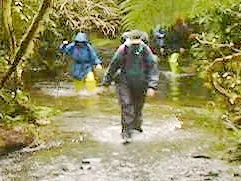 ミルフォードトラック個人ウォーク