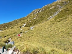 セアリーターンからミューラーハットへの登り口