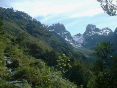 レイクマッケンジーへの下りのトラック