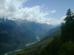 原生林の中のトラック