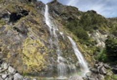 イアーランド・フォールス