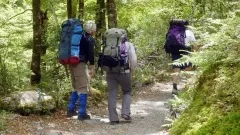 ルートバーントラック個人ウォーク