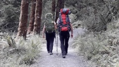 ルートバーントラック個人ウォーク